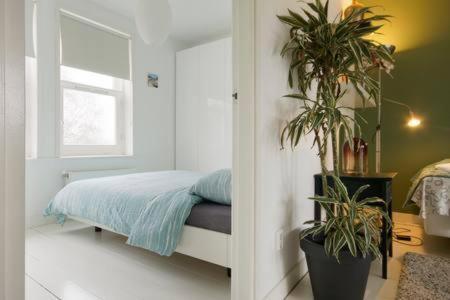 Adam & Eve - Apartment Amsterdam Luaran gambar